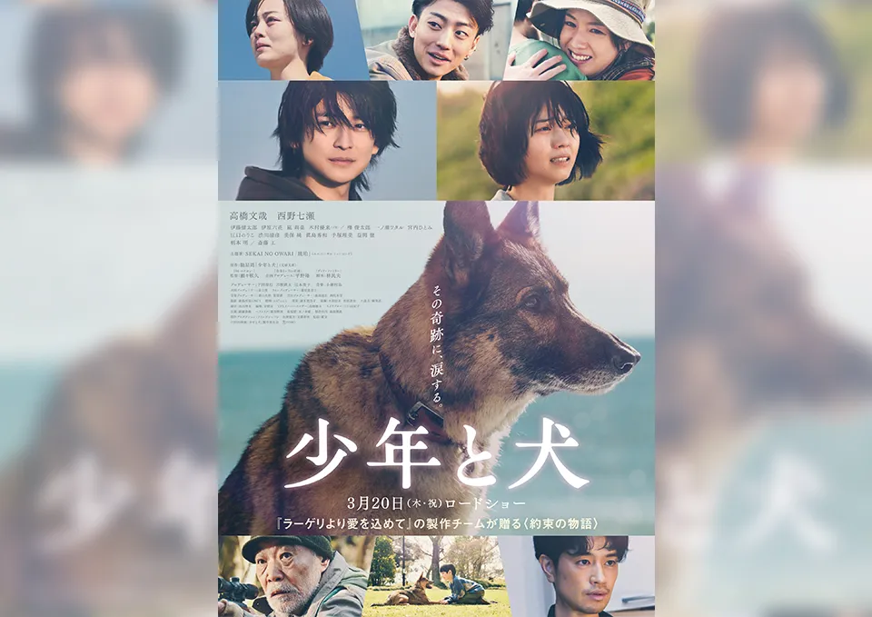 映画『少年と犬』